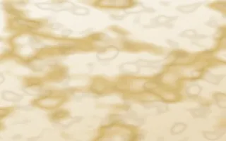 Pampas Cream Gold-Vein Marble — light beige and gold marble background