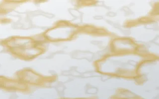 Paris Zinc Gold-Vein Marble — light white, gold and grey marble background