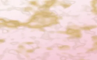 Seoul Blossom Gold-Vein Marble — light white, gold and pink marble background