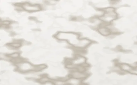 Bianco Lasa Slab — light white and orange marble background