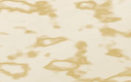 Botticino Classico II Gilded — light beige and gold marble background