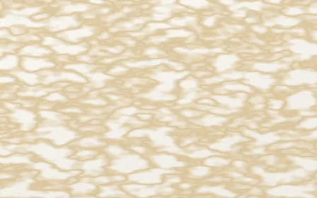Calacatta Oro Fine Vein — light white and gold marble background