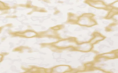 Calacatta Viola Gilded — light white and gold marble background
