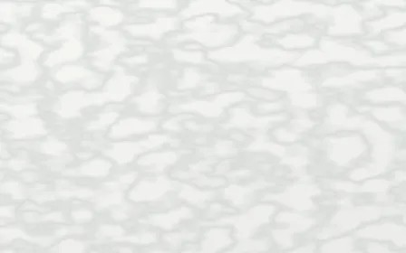 Carrara Bianco Fine Vein — light white and grey marble background