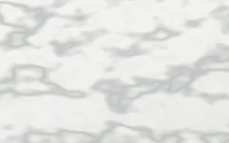 Carrara Bianco Slab — light white and grey marble background