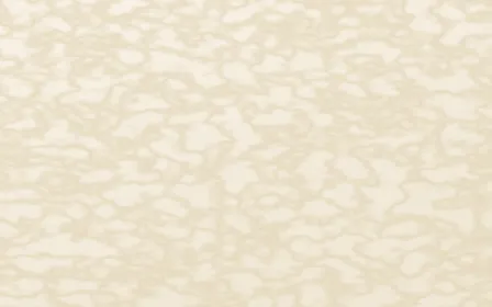 Champagne Frost Fine Vein — light beige marble background