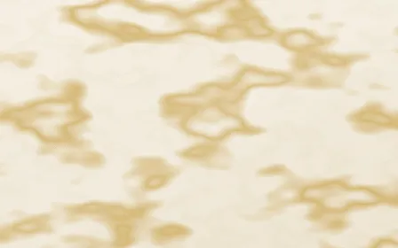 Champagne Frost Gilded — light beige and gold marble background