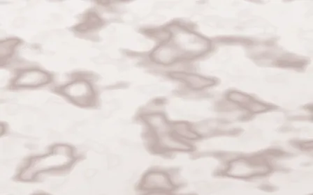 Fior di Pesco Slab — light white and red marble background