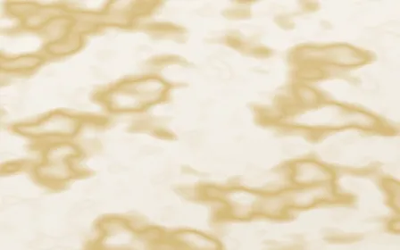 Golden Spider Gilded — light white and gold marble background