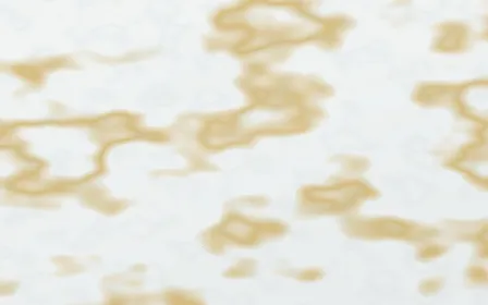 Opal Frost Gilded — light white and gold marble background