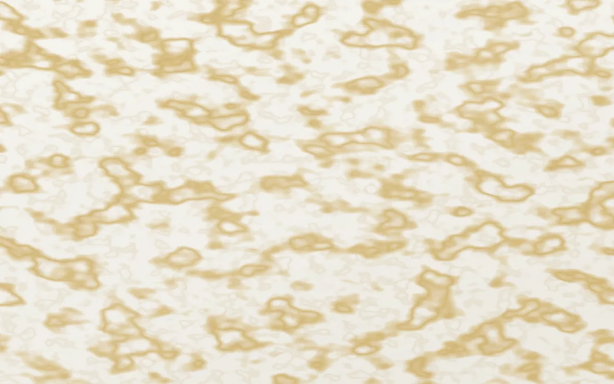 Paonazzo Gold Gilded — light white and gold marble background