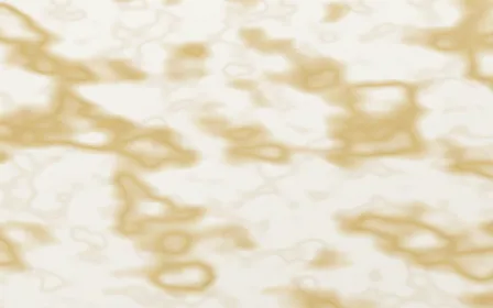 Paonazzo Gold Gilded — light white and gold marble background