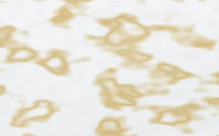 Silver Thread Gilded — light white and gold marble background