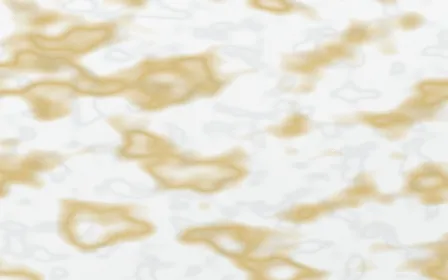 Statuario Grand Gilded — light white and gold marble background