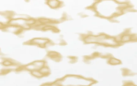Thassos Snow Gilded — light white and gold marble background