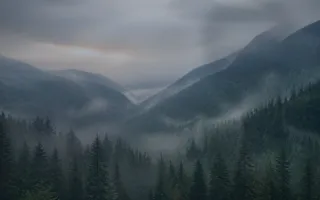 Nature Blue Hour — dark blue nature background