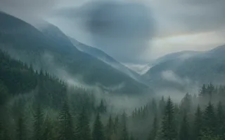 Nature Candle Glow — dark blue and teal nature background