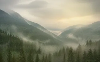 Nature Morning Haze — light beige, gold and yellow nature background