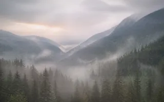 Nature Overcast — light white, pink and red nature background