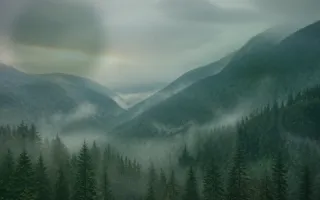 Nature Rainy Day — dark black, green and teal nature background