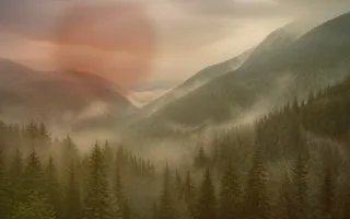 Nature Rim Light — dark brown and gold nature background