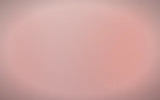 Dusty Rose Film — light red nostalgic background