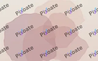 Pressed Flowers — light red, pink and beige nostalgic background
