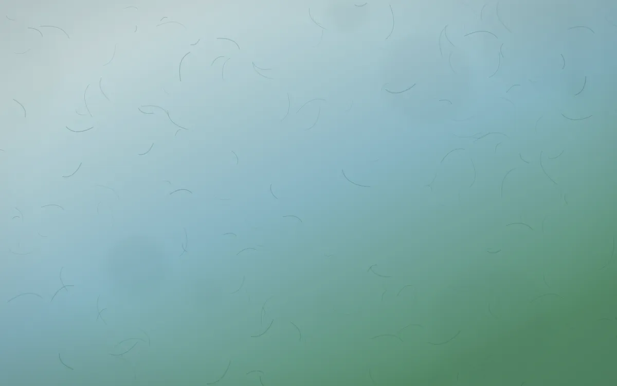 Clear Day Parchment — light blue and green parchment background