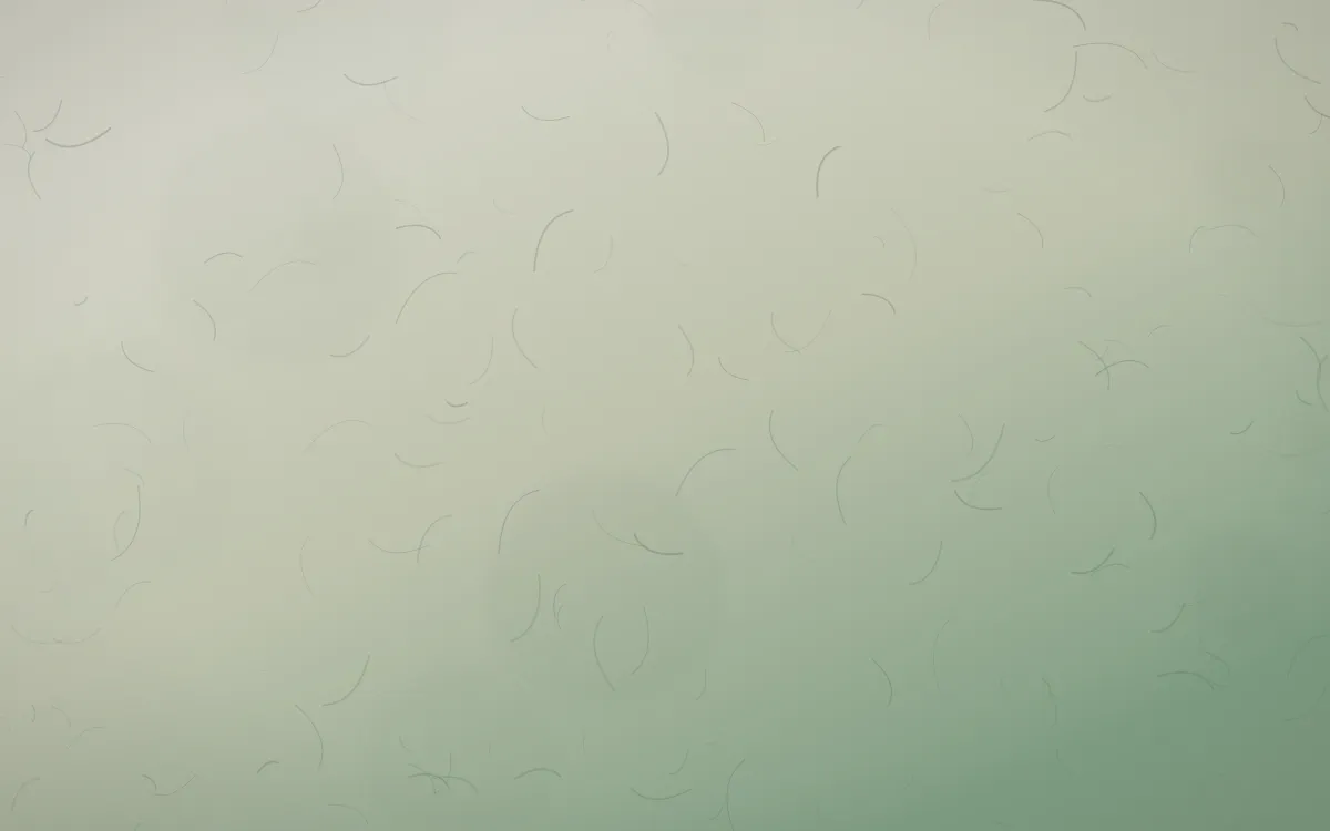 First Light Parchment — light beige and green parchment background