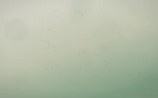 First Light Parchment II — light beige and green parchment background, variation II