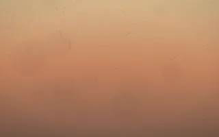 Golden Hour Parchment V — colourful orange and pink parchment background, variation V