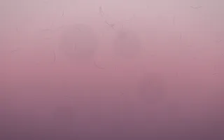 Rose Dusk Parchment V — colourful red, pink and purple parchment background, variation V