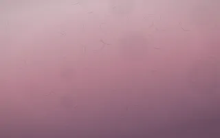 Rose Dusk Parchment VIII — colourful red, pink and purple parchment background, variation VIII