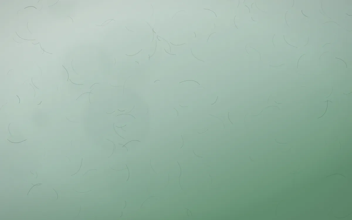 Spring Rain Parchment — light white and green parchment background