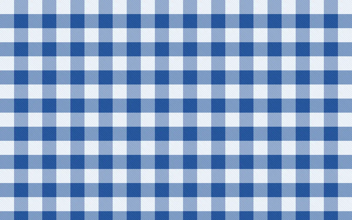 Bahia Blue Check — light white and blue plaid background