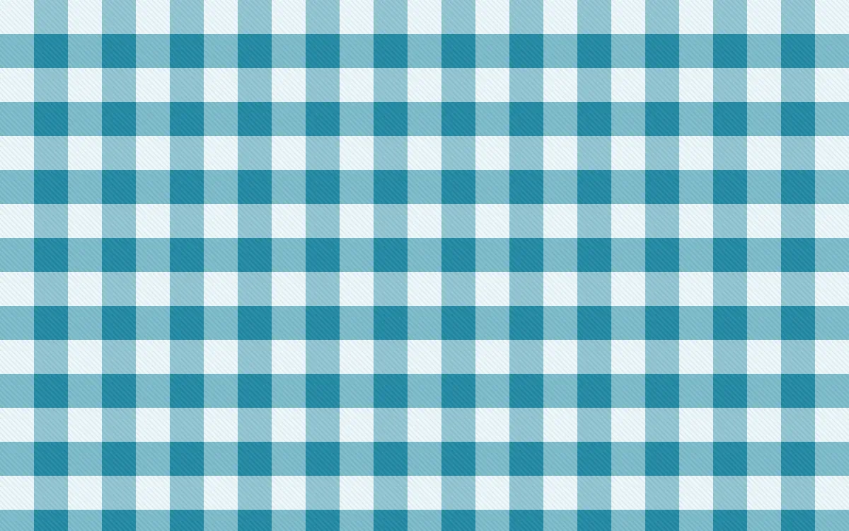 Bondi Surf Check — light white and teal plaid background