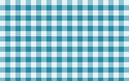 Bondi Surf Check — light white and teal plaid background