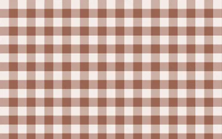 Budapest Rose Check — light white and orange plaid background