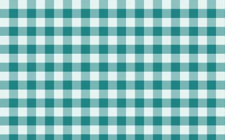 Cancún Surf Check — light teal plaid background