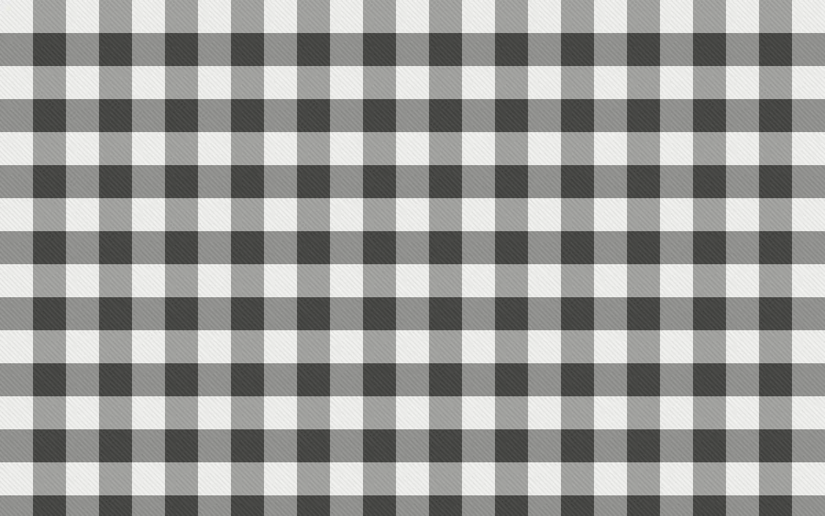 Edo Charcoal Check — light white and grey plaid background