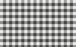 Edo Charcoal Check — light white and grey plaid background