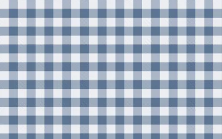 Fuji Mist Check — light white and blue plaid background