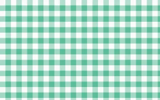 Mint Picnic Gingham — light white and green plaid background
