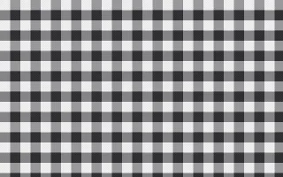 Noir Gingham — light white and grey plaid background