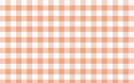 Peach Gingham — light white and orange plaid background