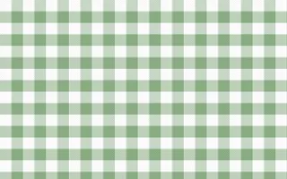Sage Gingham — light white and green plaid background