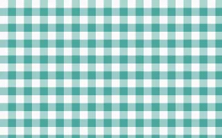 Teal Gingham — light white and teal plaid background
