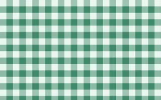 Hanbok Mint Check — light white and green plaid background