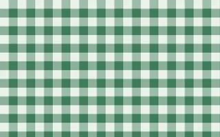 Jade Dynasty Check — light white and green plaid background