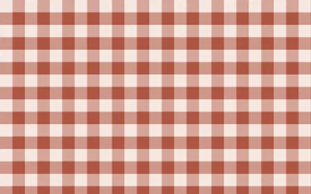 Jaipur Rose Check — light orange and red plaid background